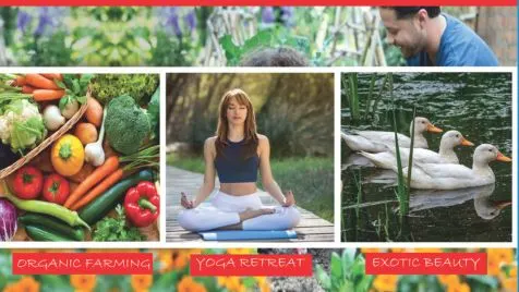 Real estate near Noida International Airport